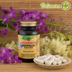 solgar boswellia resin extract vegetable capsules