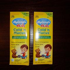 Hyland S 4kids Cold N Mucus Nighttime Dosage Chart