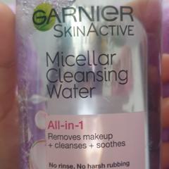 Garnier スキンアクティブ ミセラークレンジングウォーター オールインワンメイクアップリムーバー すべての肌タイプ 400 Ml 13 5 Fl Oz Iherb