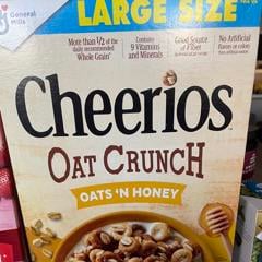 General Mills Cheerios Oat Crunch Oats N Honey 18 2 Oz 515 G