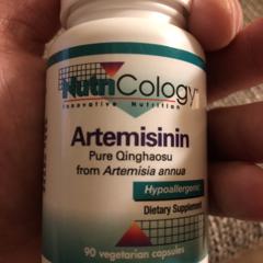 Nutricology Artemisinin Supplement - GI Tract Support, Pure Qinghaosu from  Artemisia annua, Thujone-Free, Vegetarian Capsules - 90 Count