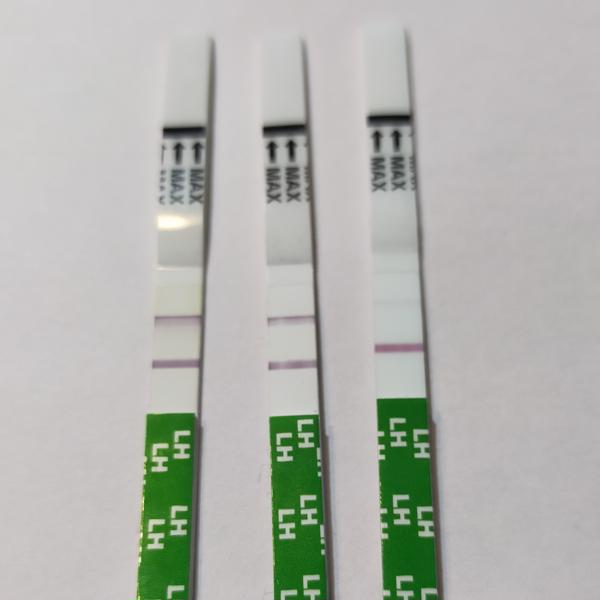 ページ 1 レビュー Fairhaven Health Bfp Ovulation Pregnancy Test Strips 40 Ovulation 10 Pregnancy Tests Iherb