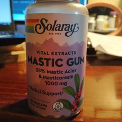 Solaray Mastic Gum Extract, 1000 mg, 45 VegCaps - Discount Nutrition Store