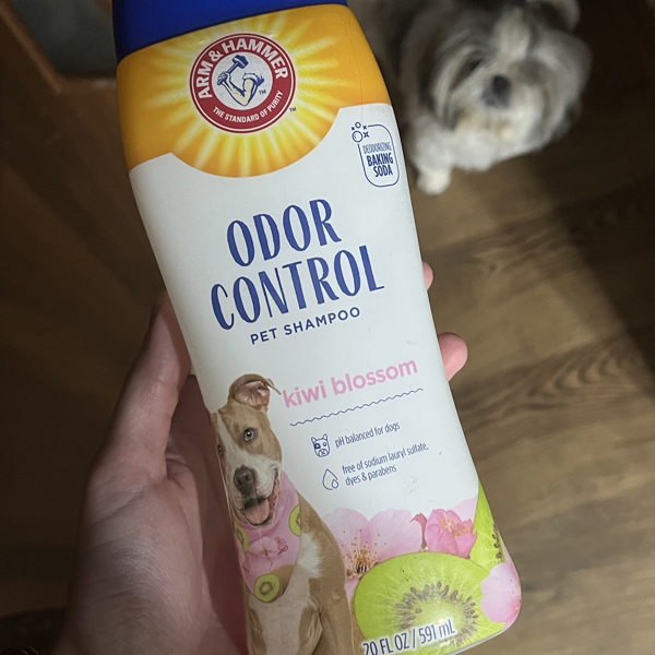 Arm and hammer clearance super deodorizing dog shampoo