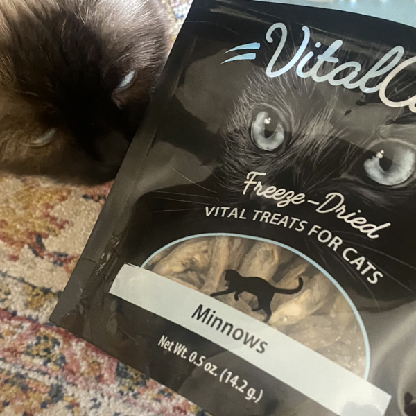 Página 1 - Reseñas - Vital Essentials, Vital Cat, Freeze Dried Treats for  Cats, Minnows, 0.5 oz (14.2 g) - iHerb