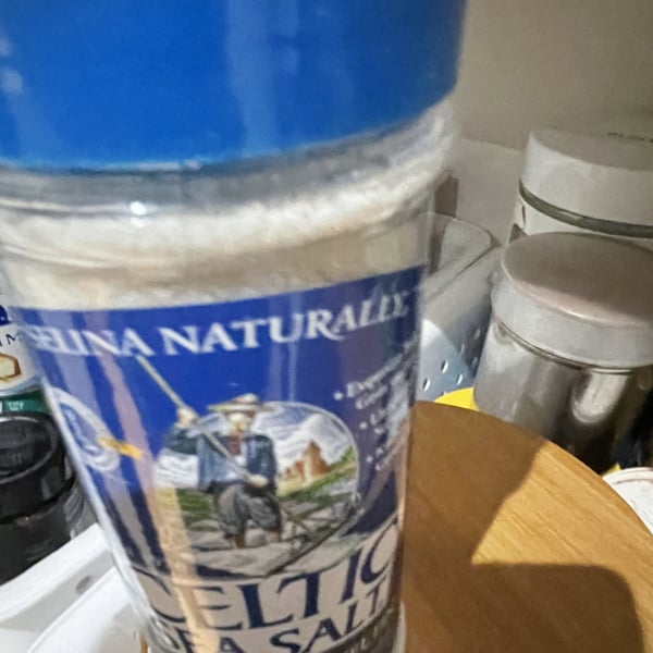 Celtic Sea Salt Fine Ground - 8 oz (227 g) Shaker 