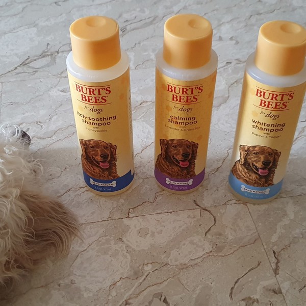 Burt's bees 2024 calming dog shampoo