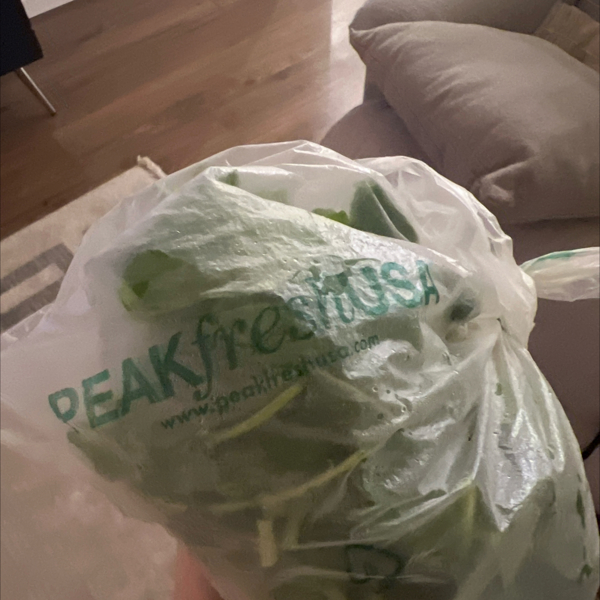 HOME  Peakfresh USA