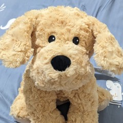 Page 1 Reviews Warmies Golden Dog Heatable Weighted Soft Plush 1 Plush iHerb